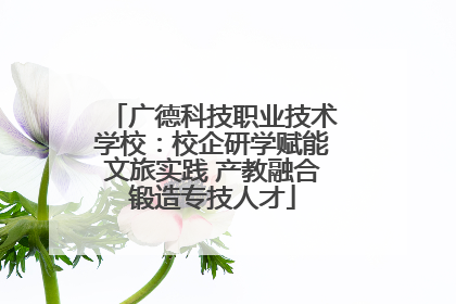 广德科技职业技术学校：校企研学赋能文旅实践 产教融合锻造专技人才