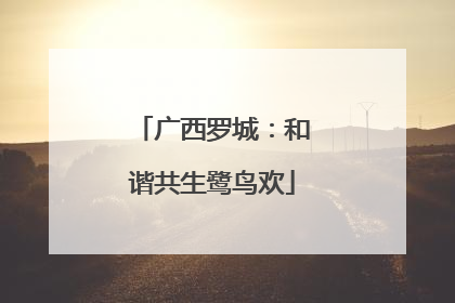 广西罗城：和谐共生鹭鸟欢