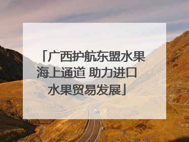 广西护航东盟水果海上通道 助力进口水果贸易发展
