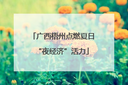 广西梧州点燃夏日“夜经济”活力