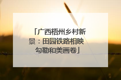 广西梧州乡村新景：田园铁路相映 勾勒和美画卷