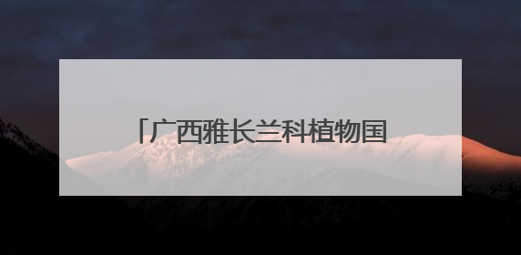 广西雅长兰科植物国家级自然保护区20载守望“秘境兰香”