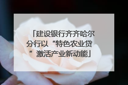 建设银行齐齐哈尔分行以“特色农业贷”激活产业新动能