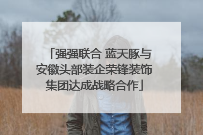 强强联合 蓝天豚与安徽头部装企荣锋装饰集团达成战略合作