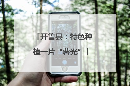 开鲁县：特色种植一片“薯光”