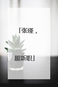 张瑾，履新职