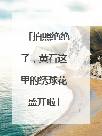 拍照绝绝子，黄石这里的绣球花盛开啦