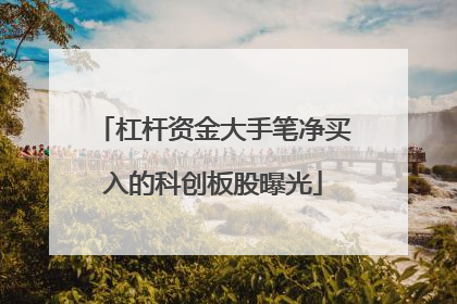 杠杆资金大手笔净买入的科创板股曝光