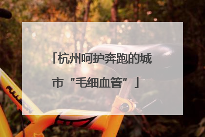 杭州呵护奔跑的城市“毛细血管”