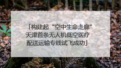 构建起“空中生命走廊” 天津首条无人机低空医疗配送运输专线试飞成功