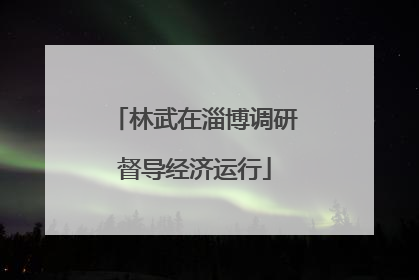 林武在淄博调研督导经济运行