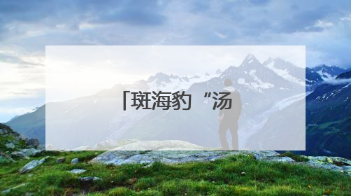 斑海豹“汤圆”归海记