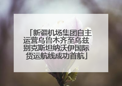 新疆机场集团自主运营乌鲁木齐至乌兹别克斯坦纳沃伊国际货运航线成功首航