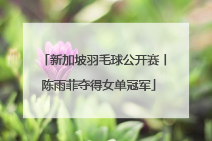 新加坡羽毛球公开赛丨陈雨菲夺得女单冠军