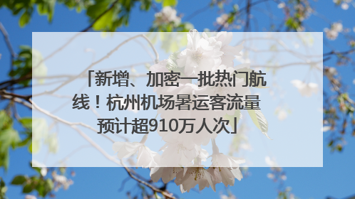 新增、加密一批热门航线！杭州机场暑运客流量预计超910万人次