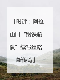 时评：阿拉山口“钢铁驼队”续写丝路新传奇