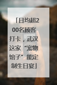 日均超200名顾客打卡，武汉这家“宠物馆子”能定制生日宴