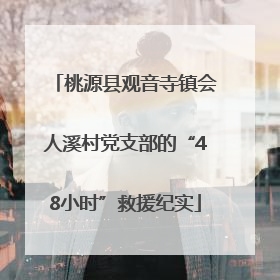 桃源县观音寺镇会人溪村党支部的“48小时”救援纪实