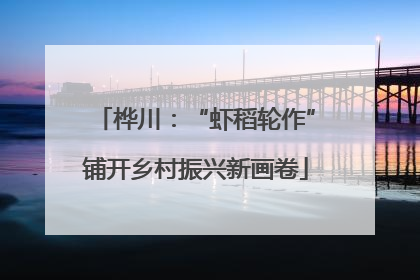 桦川：“虾稻轮作”铺开乡村振兴新画卷