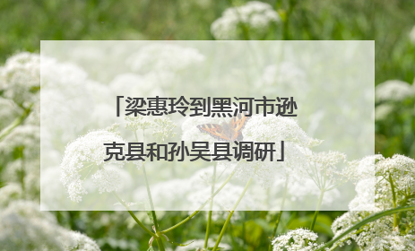 梁惠玲到黑河市逊克县和孙吴县调研