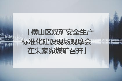 横山区煤矿安全生产标准化建设现场观摩会在朱家峁煤矿召开
