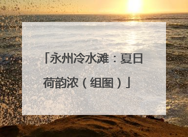 永州冷水滩：夏日荷韵浓（组图）