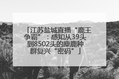 江苏盐城直播“鹿王争霸”：感知从39头到8502头的麋鹿种群复兴“密码”