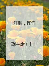 汪顺，连任副主席！