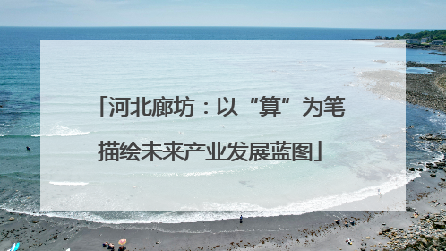 河北廊坊：以“算”为笔描绘未来产业发展蓝图