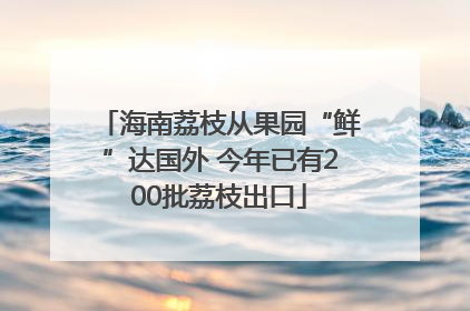海南荔枝从果园“鲜”达国外 今年已有200批荔枝出口