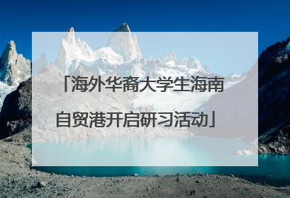 海外华裔大学生海南自贸港开启研习活动