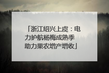 浙江绍兴上虞：电力护航杨梅成熟季 助力果农增产增收