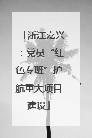 浙江嘉兴：党员“红色专班”护航重大项目建设