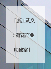 浙江武义：荷花产业助致富