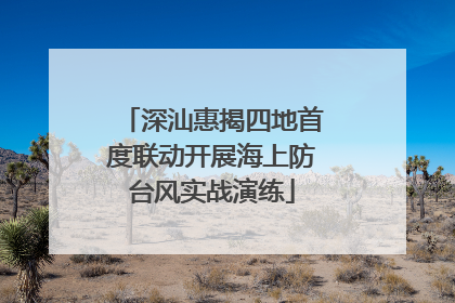 深汕惠揭四地首度联动开展海上防台风实战演练