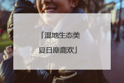 湿地生态美 夏日麋鹿欢