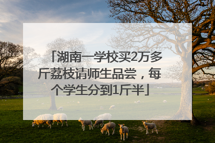湖南一学校买2万多斤荔枝请师生品尝，每个学生分到1斤半