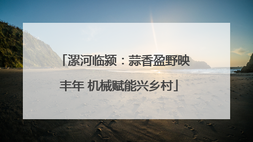 漯河临颍：蒜香盈野映丰年 机械赋能兴乡村