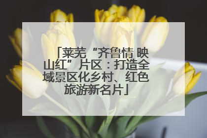 莱芜“齐鲁情 映山红”片区：打造全域景区化乡村、红色旅游新名片