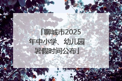 聊城市2025年中小学、幼儿园暑假时间公布