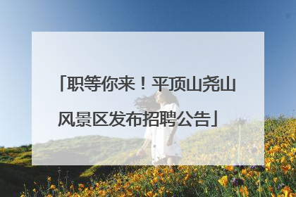职等你来！平顶山尧山风景区发布招聘公告