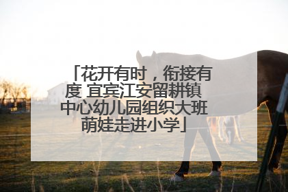 花开有时，衔接有度 宜宾江安留耕镇中心幼儿园组织大班萌娃走进小学