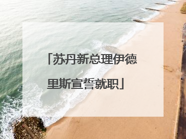苏丹新总理伊德里斯宣誓就职