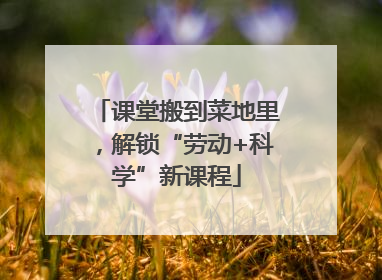 课堂搬到菜地里，解锁“劳动+科学”新课程