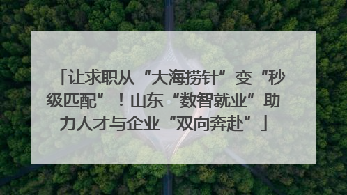 让求职从“大海捞针”变“秒级匹配”！山东“数智就业”助力人才与企业“双向奔赴”