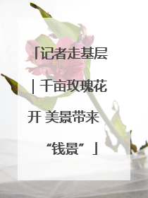 记者走基层｜千亩玫瑰花开 美景带来“钱景”