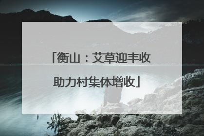 衡山：艾草迎丰收 助力村集体增收