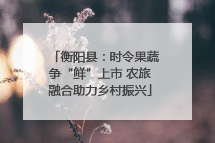 衡阳县：时令果蔬争“鲜”上市 农旅融合助力乡村振兴