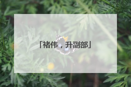 褚伟，升副部
