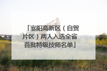 襄阳高新区（自贸片区）两人入选全省首批特级技师名单